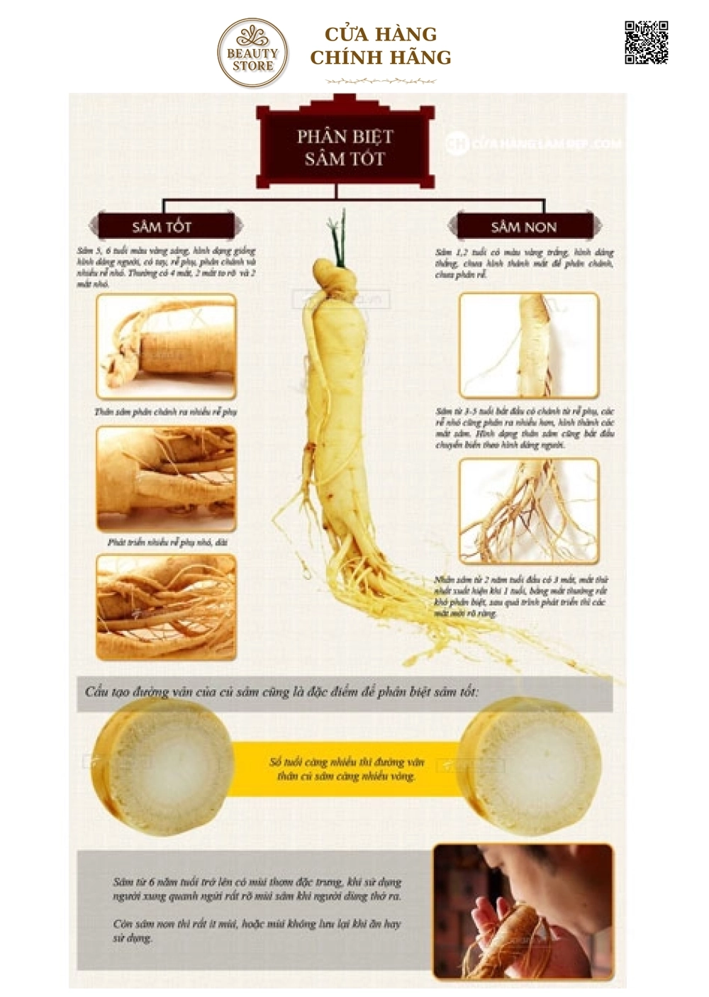 Nhân Sâm Tươi Hàn Quốc (1kg)