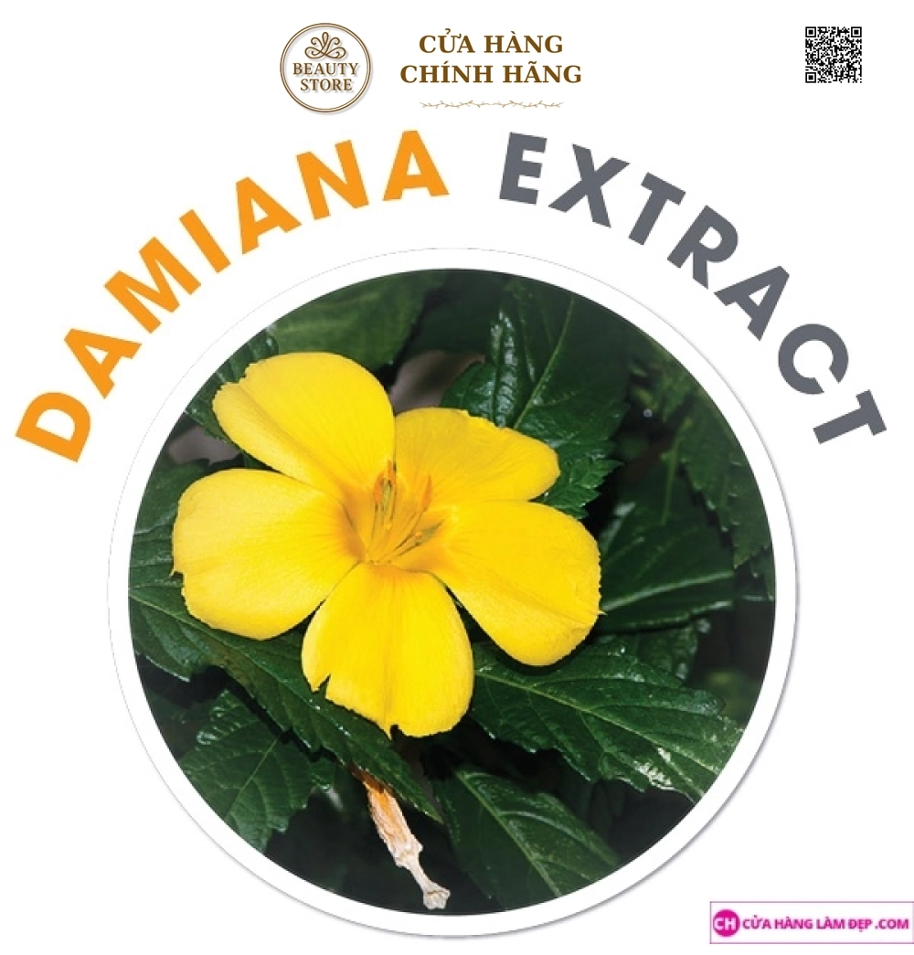 Viên uống giảm cân OZ SLIM (40 Viên)