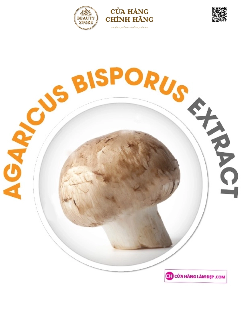 Viên uống giảm cân OZ SLIM (40 Viên)