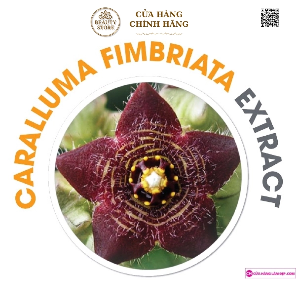 Viên uống giảm cân OZ SLIM (40 Viên)