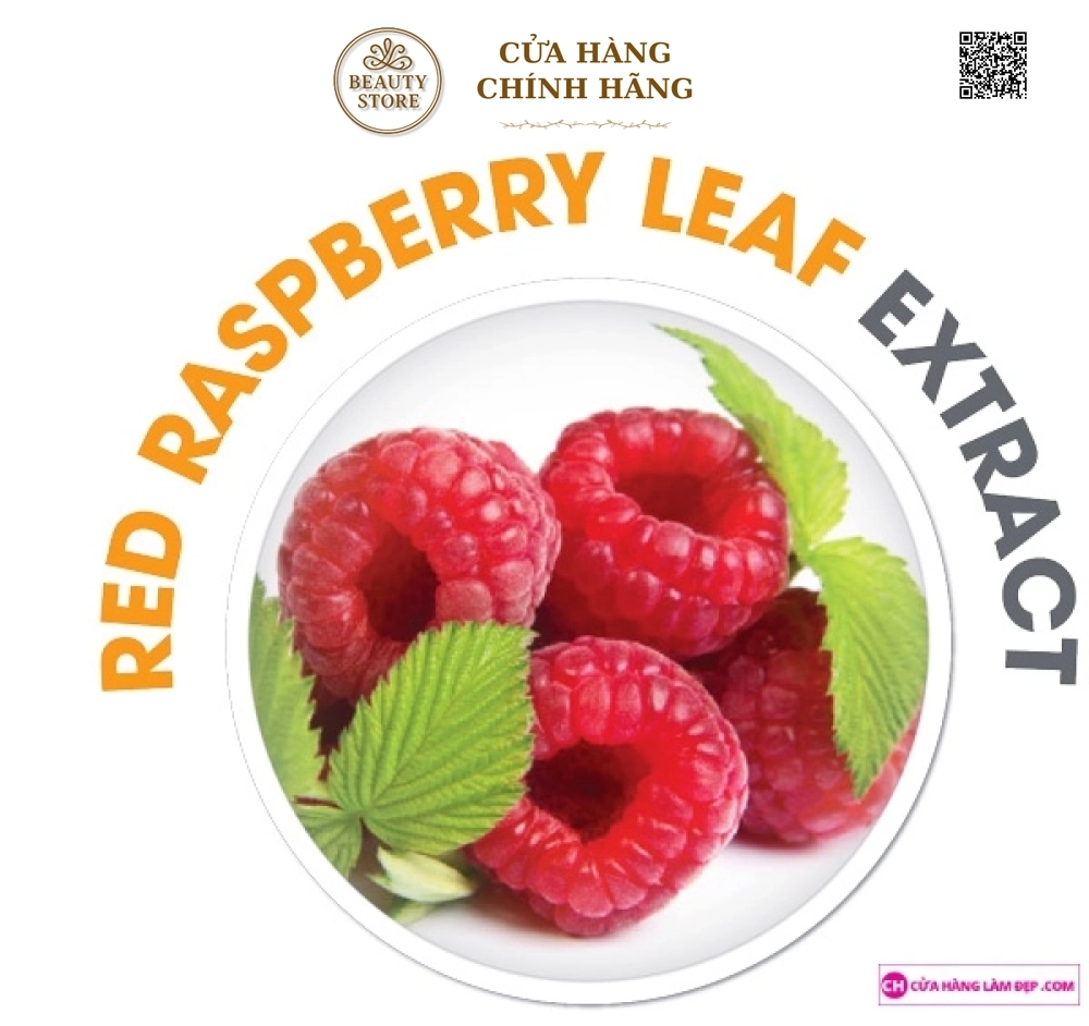 Viên uống giảm cân OZ SLIM (40 Viên)