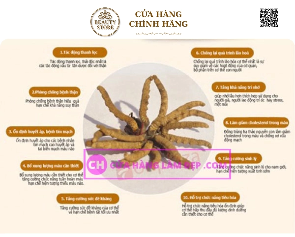 Viên Đông Trùng Hạ Thảo Tohchukasou Royal Gold Nhật Bản